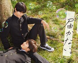 式不遮不挡海报剧照